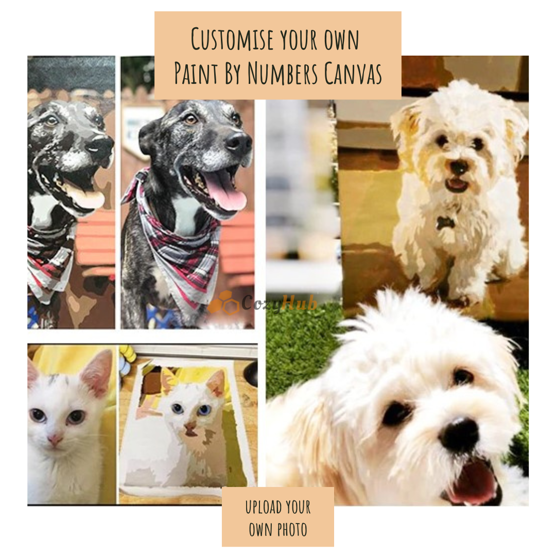 Personalise Your Paint By Numbers Canvas Design With Your Own Photo
