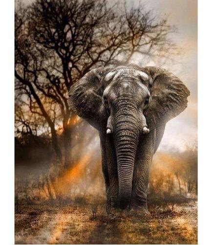 Safari Elephant Design Diamond Painting Art