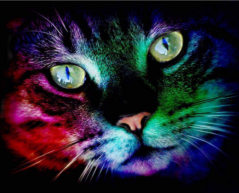 Colourful Cat Diamond Painting Art - Relaxing and Calming Gift + FREE Shipping